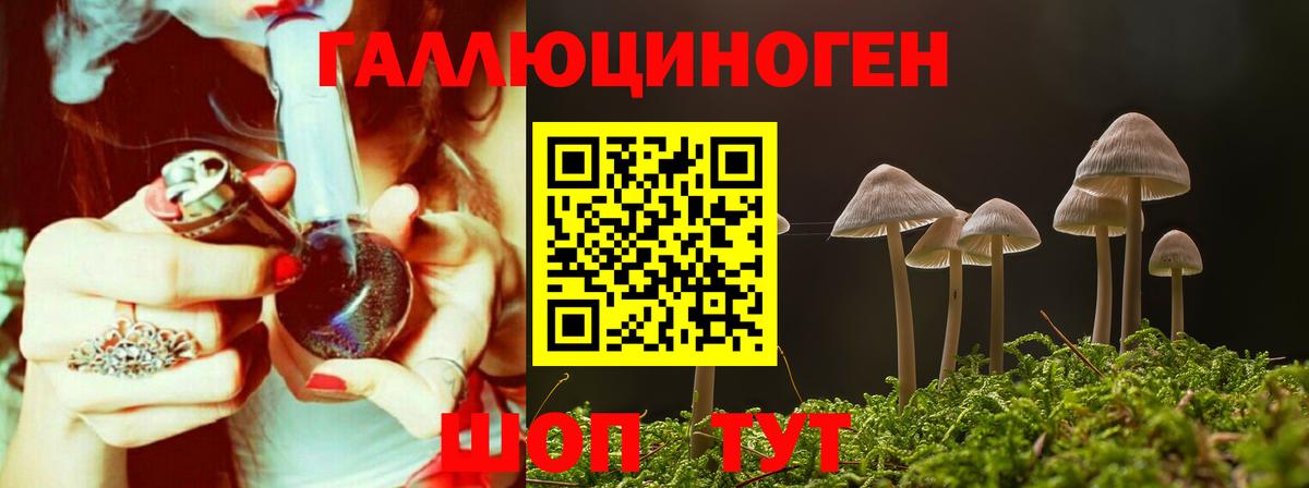 Тихвин  Псилоцибиновые грибы ЛСД  Вход с VPN 